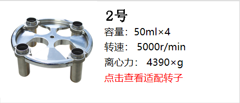 新轉(zhuǎn)子2.jpg