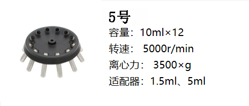 新轉(zhuǎn)子五.jpg