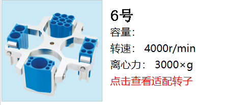 新轉(zhuǎn)子6.jpg