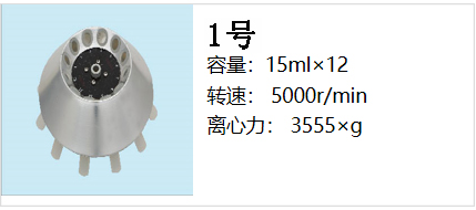 轉(zhuǎn)子1.jpg
